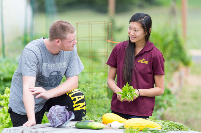 Woman and man in garden with vegetables.