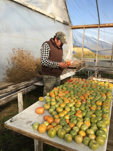 Javier García en uno de los invernaderos de Cooperativa Agua Gorda en 2019.