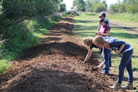 Manure composting