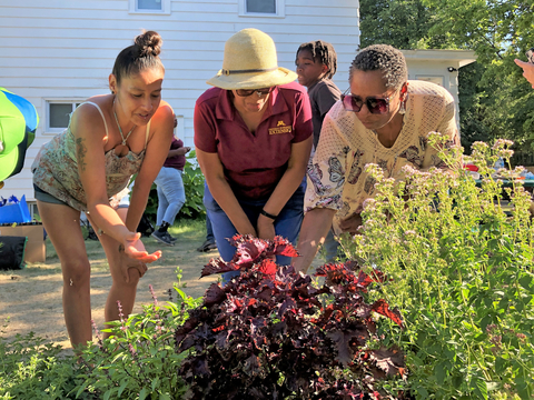 Three women lean over a garden bed and examine plants