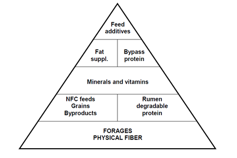 Guide to formulating dairy cow rations