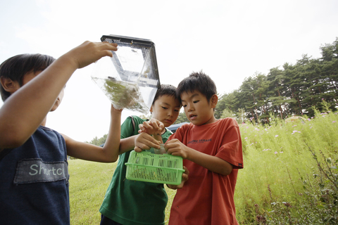 boys looking at bugs