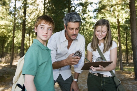 A man showing a pinecone to two kids in a wooded area.