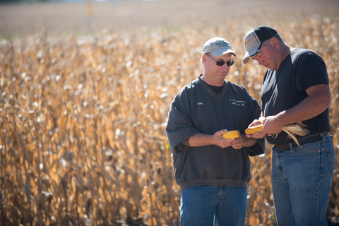 Crop consultant and farmer in field