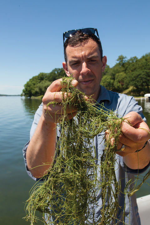 Dan Larkin holding lake weeds