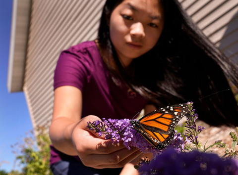 Girl with flowers and butterfly