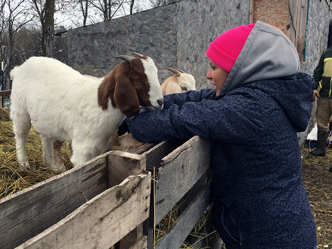 A woman stands outside of a goat pen with two goats and pets on of the goats.