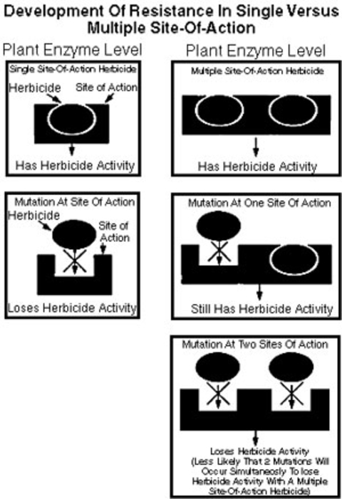 Developing resistance to single site