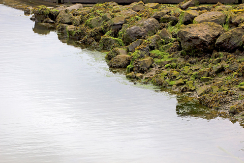 Rocky shoreline on calm lake.