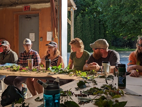 People sit at a table covered in tree leaf and seed samples