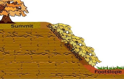 slope position