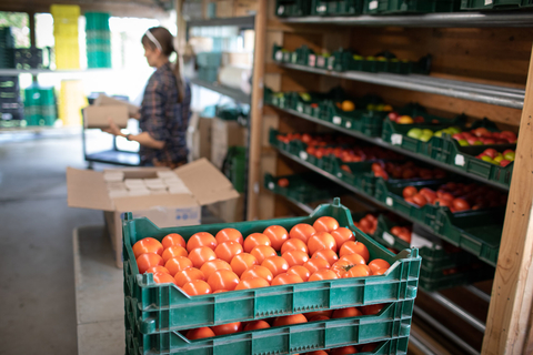 Warehouse scene with a bin of tomatoes and shelves of tomatoes, and a farmer stands behind it with cardboard boxes