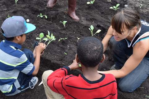 boys ad woman plant seedlings