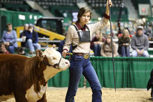 4-H'er Maren Hoban leading cow at fair