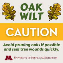 Oak wilt caution graphic with text that reads “Avoid pruning oaks if possible and seal tree wounds quickly.”