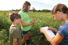 Three kids exploring prairie