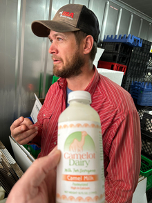 A hand holding a bottle of camel milk and man wearing a red shirt and baseball cap behind