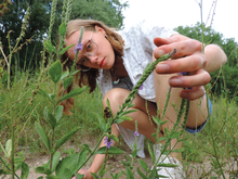 College student looking at bee on flower