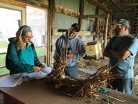 Educator and farmers looking at garlic