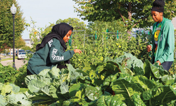 Teenage girls working in garden