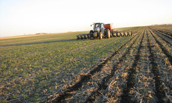 Tractor plowing field