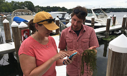 Two people looking at lake weeds