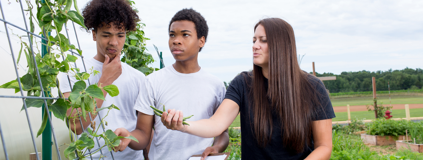 Two boys and Master Gardener volunteer Rachel Beehler in garden.