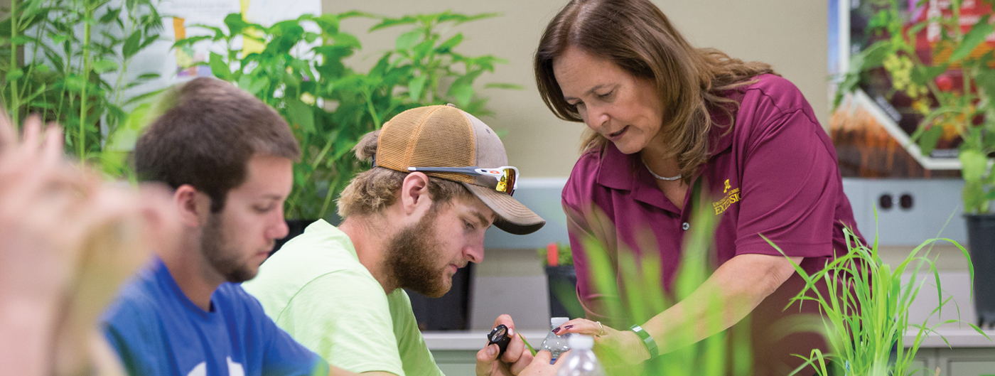 Dean Bev Durgan teaching at field school