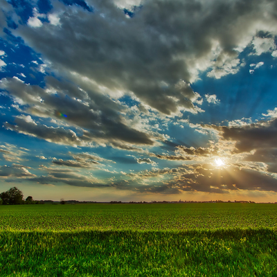 Farm fields at sunset