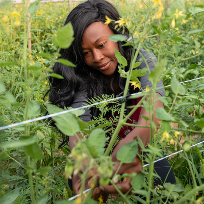 Farmer Lakisha Witter examines plants in her greenhouse.