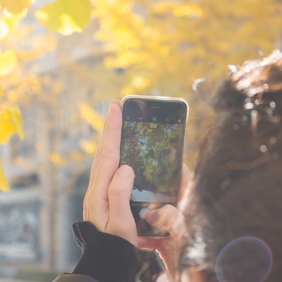 A person holds a smartphone up to take a picture of a tree