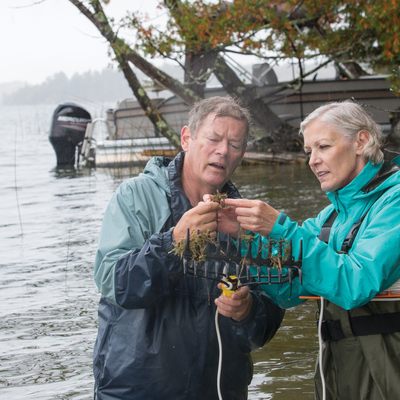 Man and woman examining lake weeds