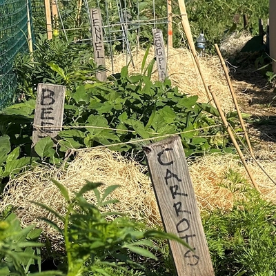 community garden plot with stakes for veggies like carrots